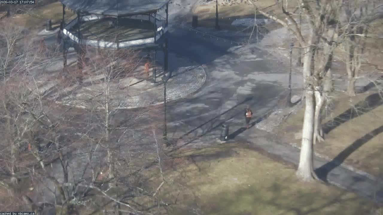 Web Cam image of Saint John (King's Square)