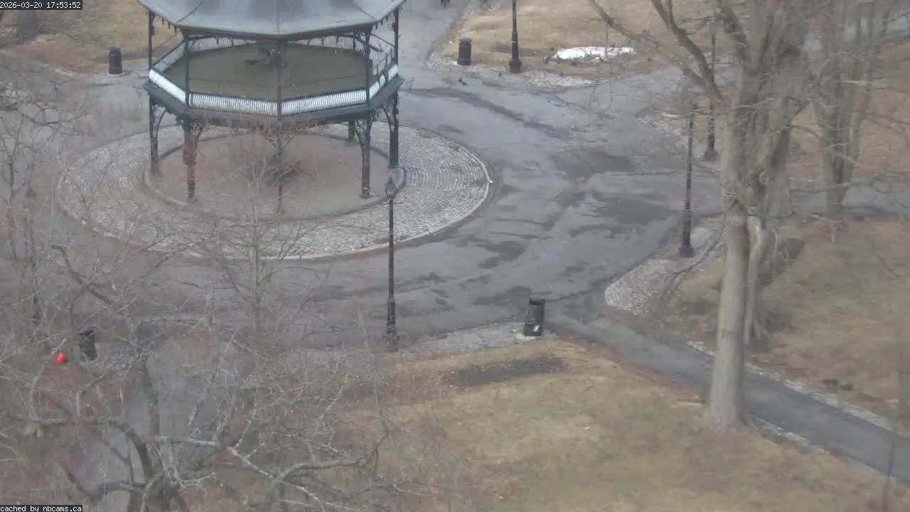 Web Cam image of Saint John (King's Square)