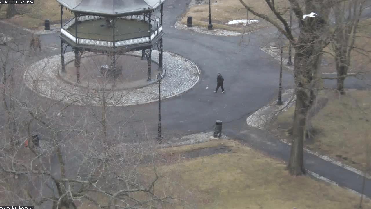 Web Cam image of Saint John (King's Square)