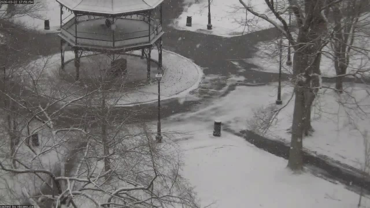Web Cam image of Saint John (King's Square)