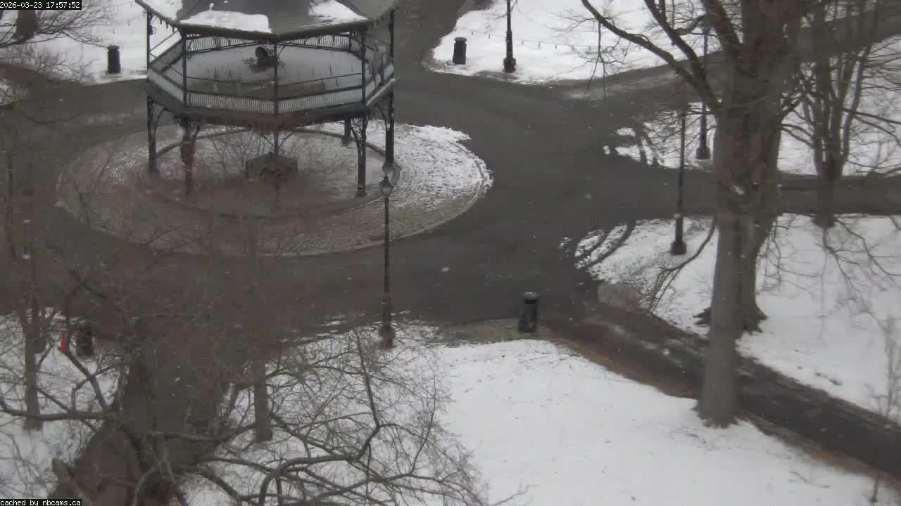 Web Cam image of Saint John (King's Square)