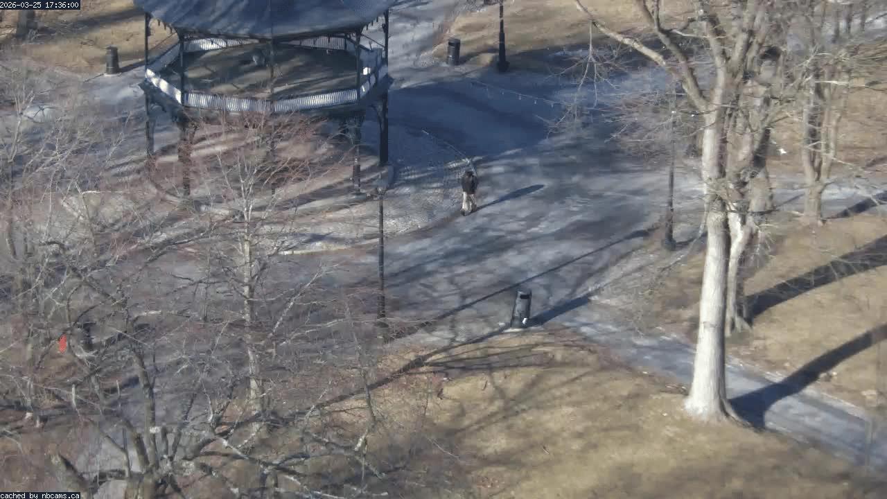 Web Cam image of Saint John (King's Square)