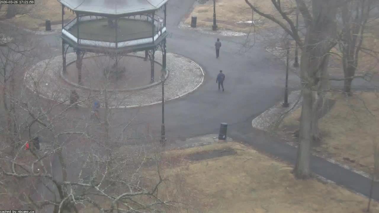 Web Cam image of Saint John (King's Square)