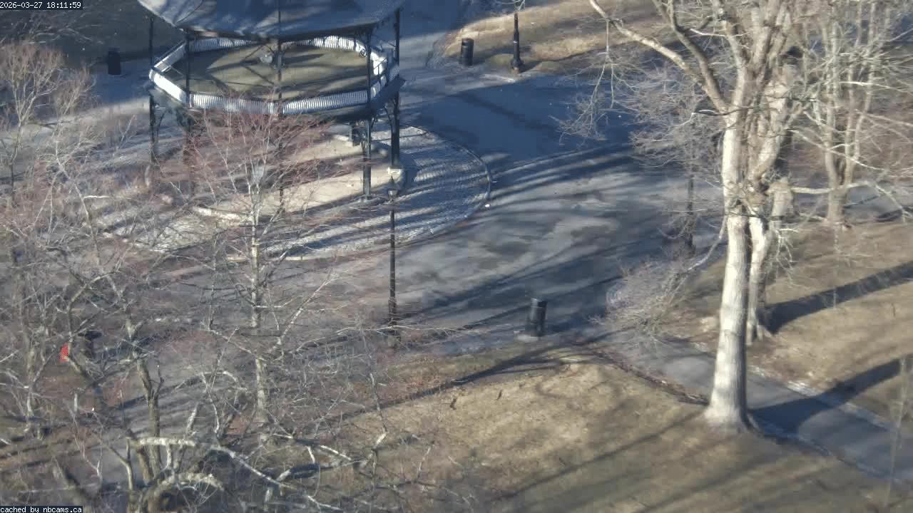 Web Cam image of Saint John (King's Square)