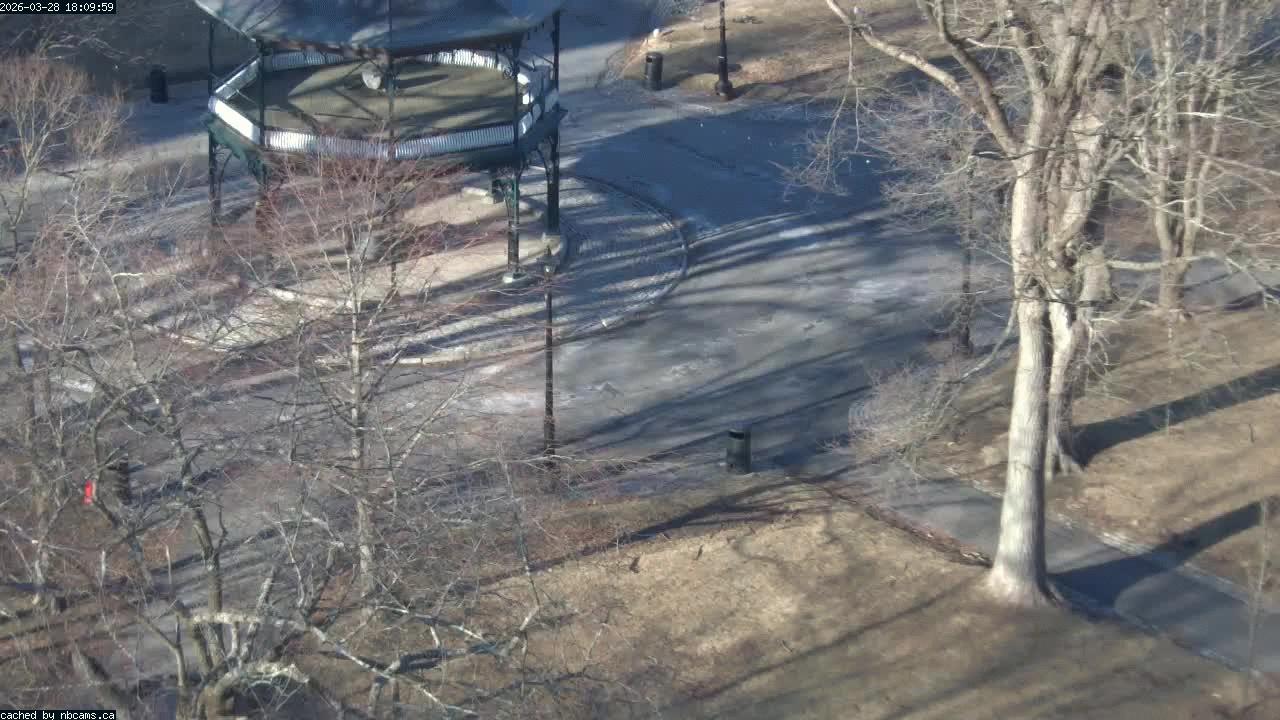 Web Cam image of Saint John (King's Square)