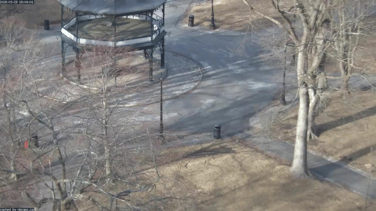 Web Cam image of Saint John (King's Square)