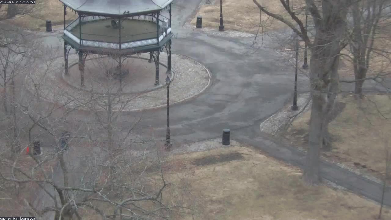 Web Cam image of Saint John (King's Square)