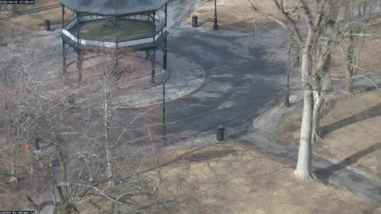 Web Cam image of Saint John (King's Square)