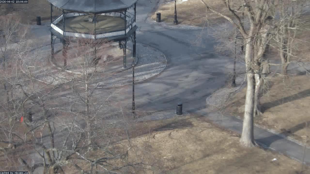 Web Cam image of Saint John (King's Square)