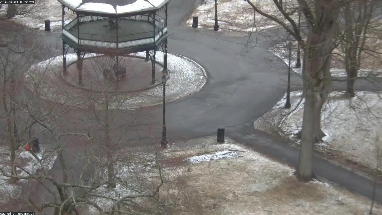 Web Cam image of Saint John (King's Square)