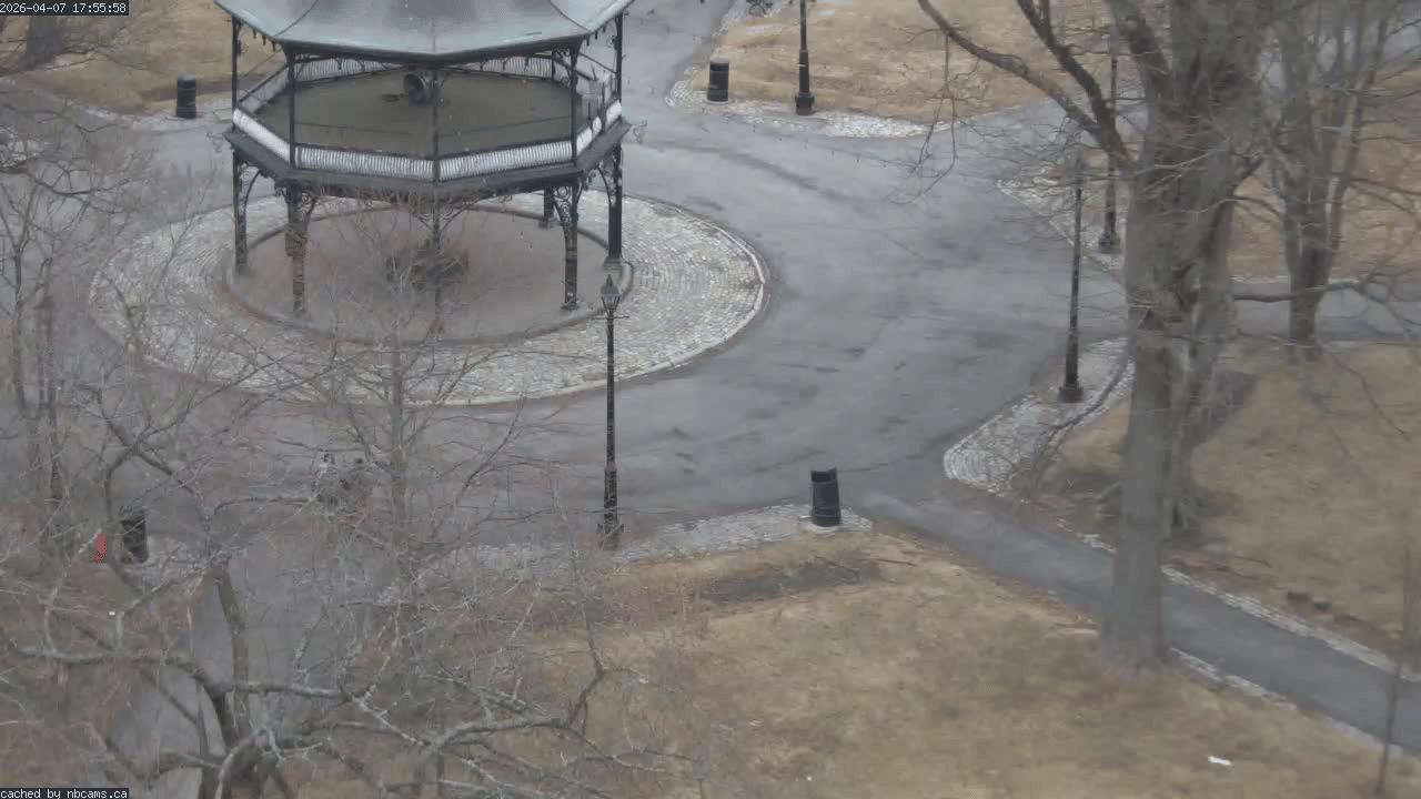 Web Cam image of Saint John (King's Square)
