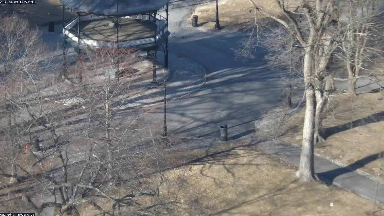 Web Cam image of Saint John (King's Square)