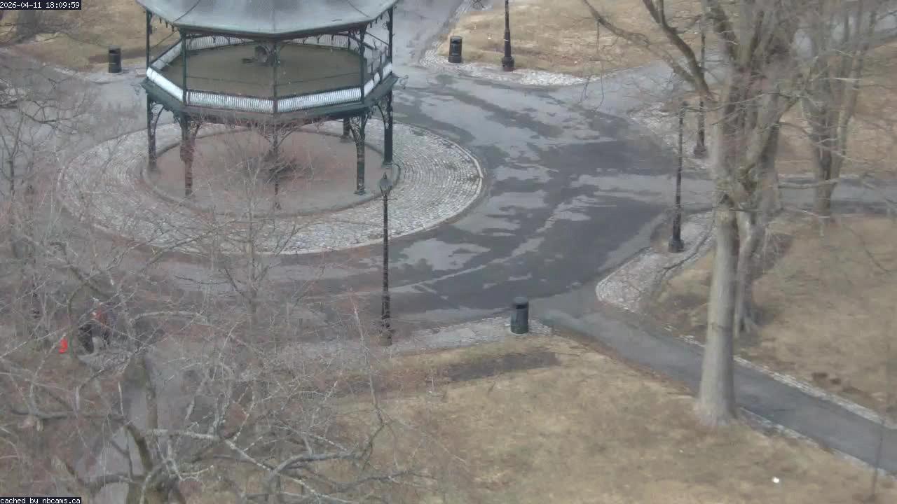 Web Cam image of Saint John (King's Square)