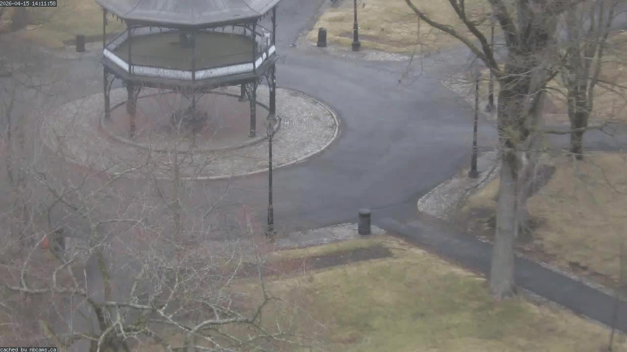 Web Cam image of Saint John (King's Square)
