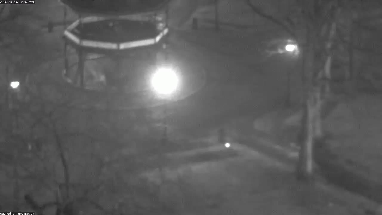 Web Cam image of Saint John (King's Square)