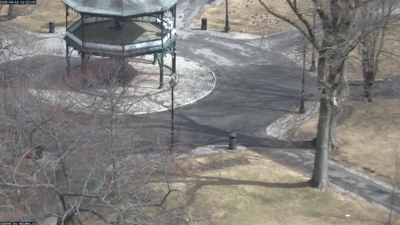 Web Cam image of Saint John (King's Square)