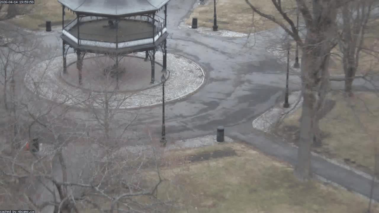 Web Cam image of Saint John (King's Square)