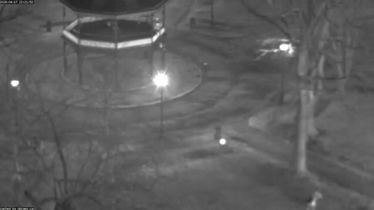 Web Cam image of Saint John (King's Square)