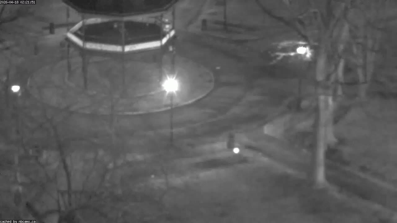 Web Cam image of Saint John (King's Square)