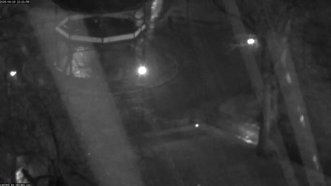 Web Cam image of Saint John (King's Square)