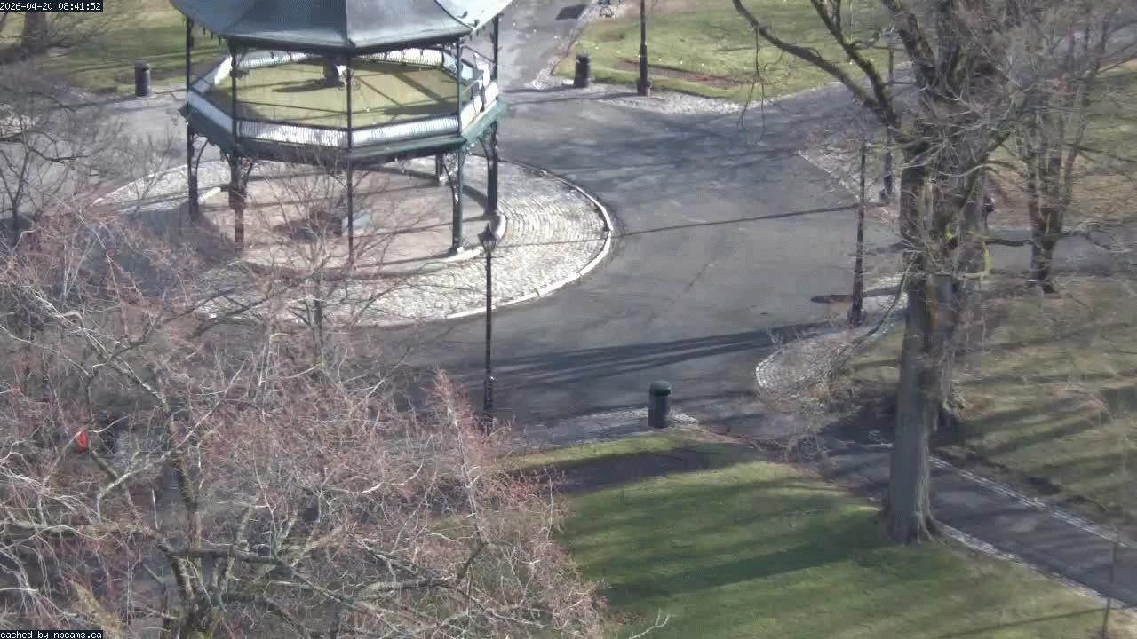 Web Cam image of Saint John (King's Square)