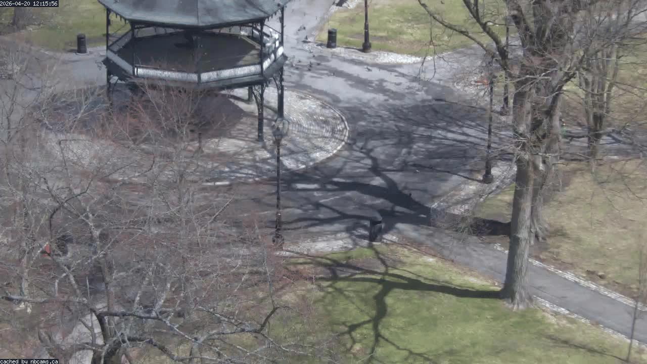 Web Cam image of Saint John (King's Square)