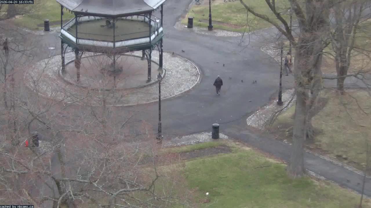 Web Cam image of Saint John (King's Square)