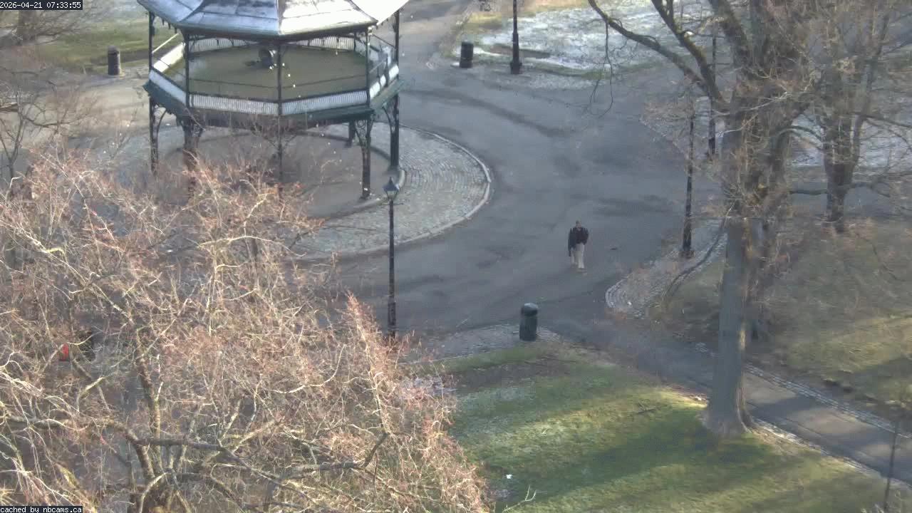 Web Cam image of Saint John (King's Square)