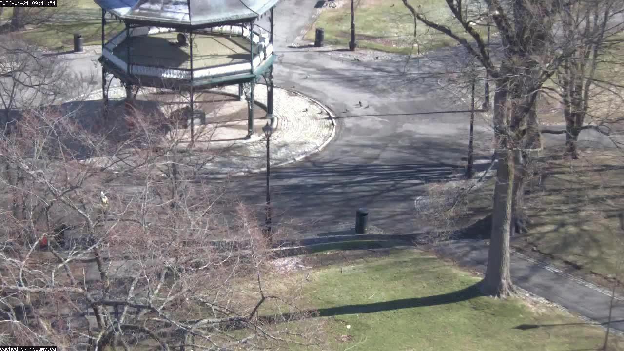 Web Cam image of Saint John (King's Square)