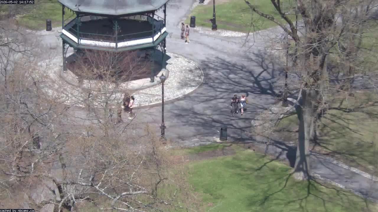 Web Cam image of Saint John (King's Square)