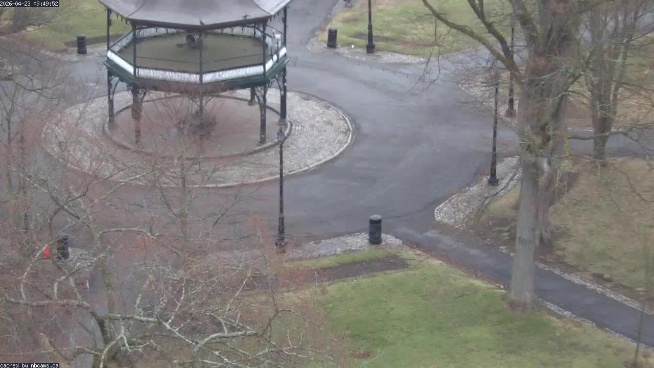 Web Cam image of Saint John (King's Square)