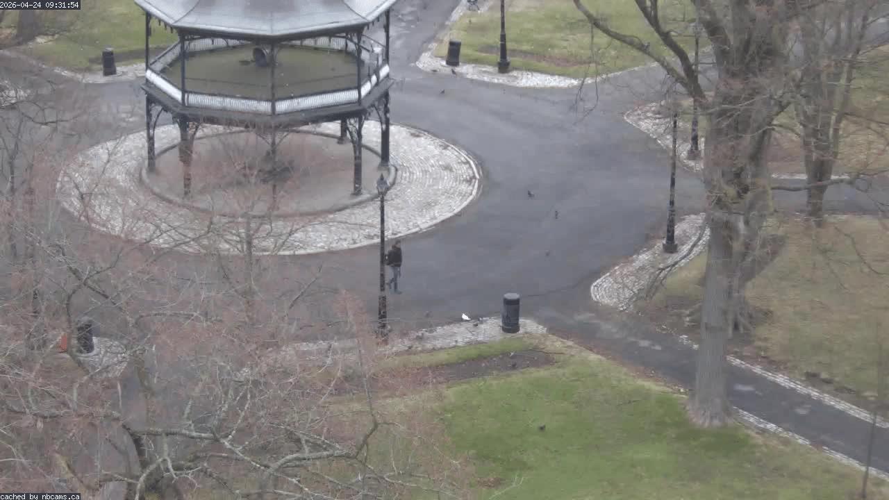 Web Cam image of Saint John (King's Square)