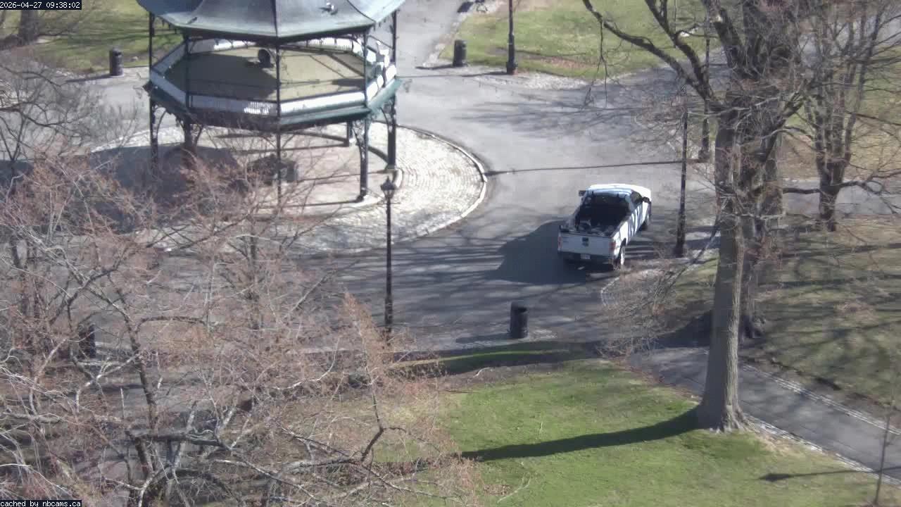 Web Cam image of Saint John (King's Square)