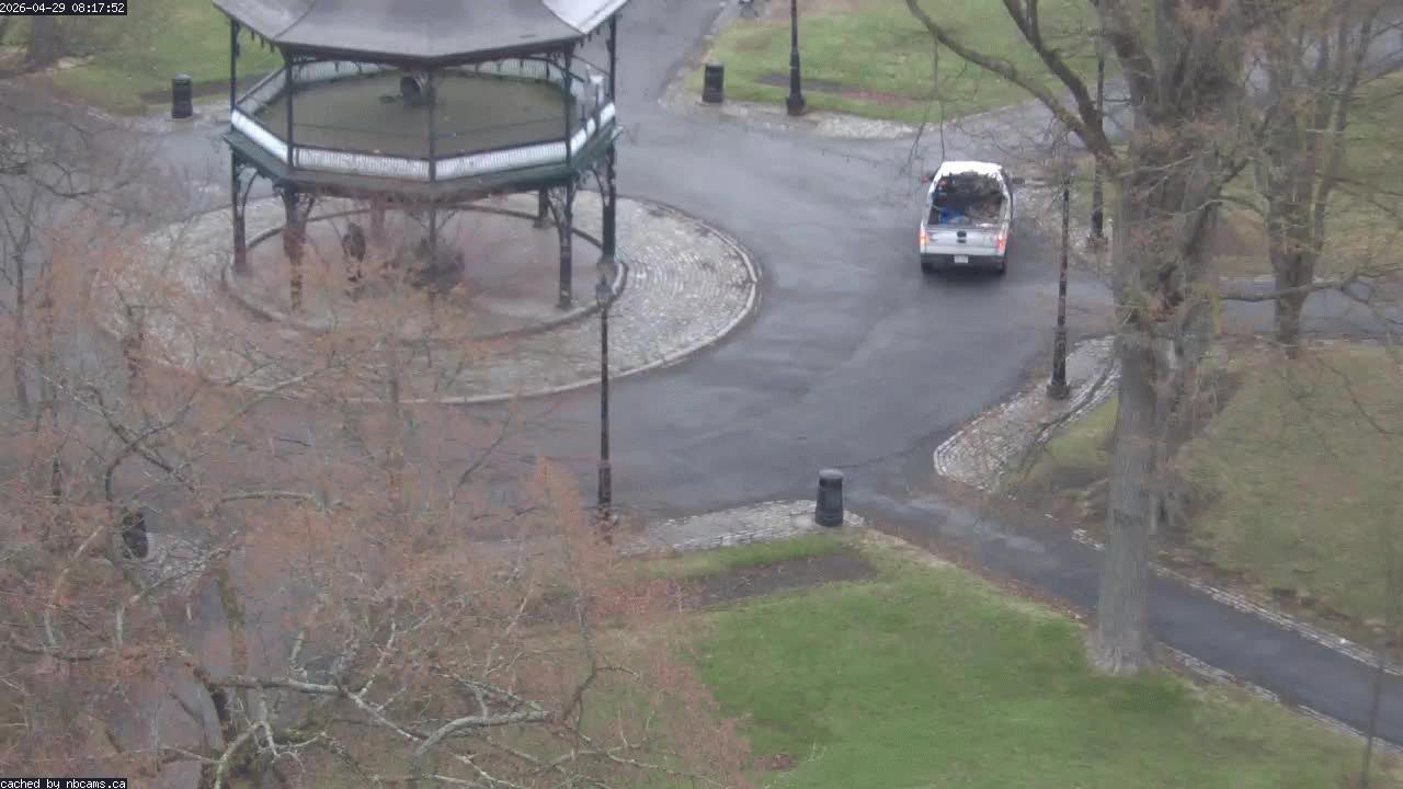 Web Cam image of Saint John (King's Square)