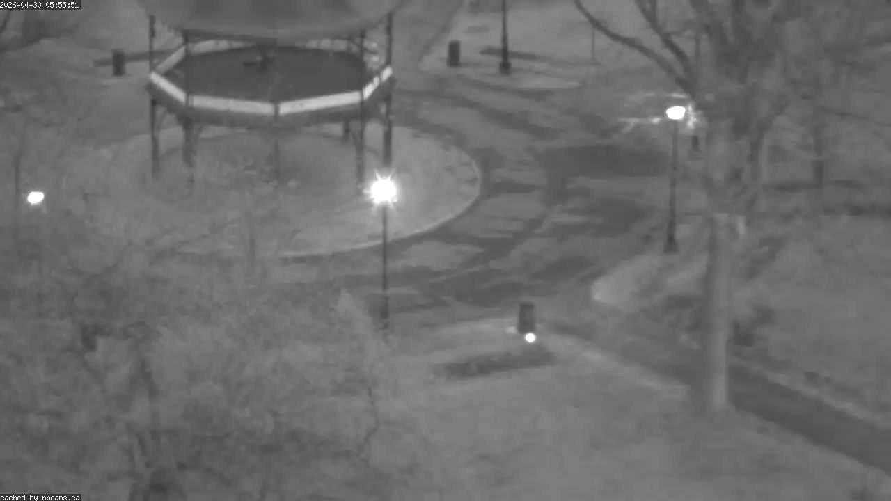 Web Cam image of Saint John (King's Square)