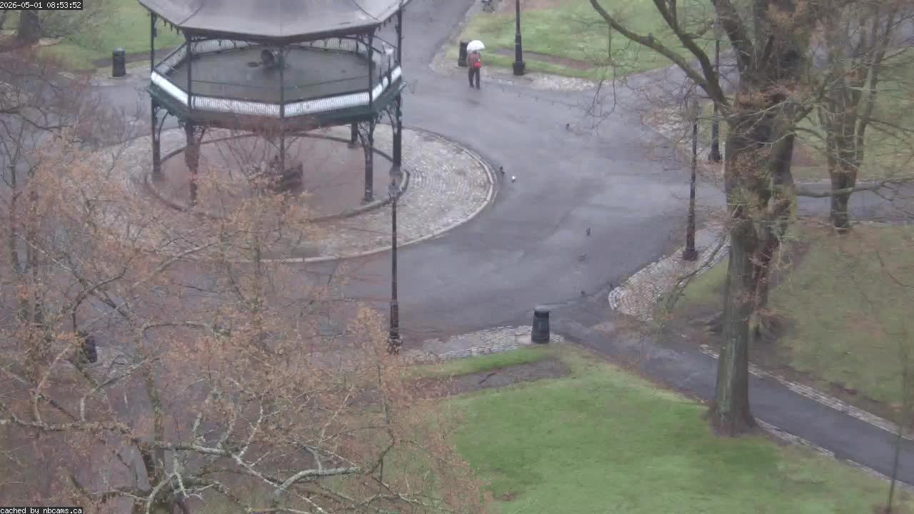 Web Cam image of Saint John (King's Square)