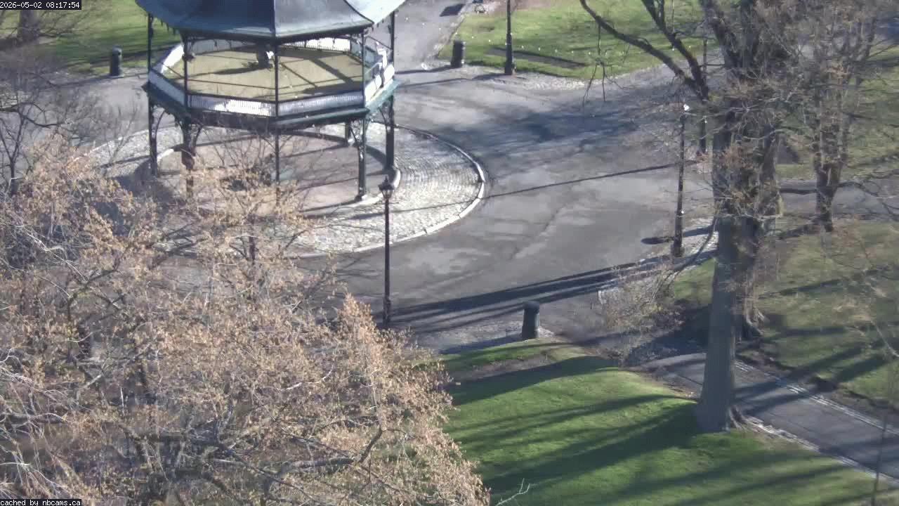 Web Cam image of Saint John (King's Square)