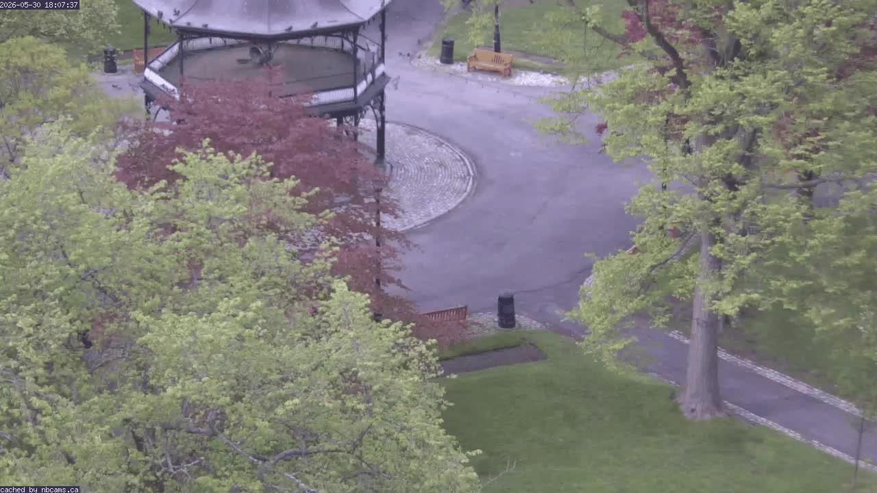 Web Cam image of Saint John (King's Square)