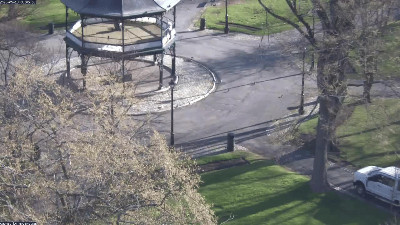 Web Cam image of Saint John (King's Square)