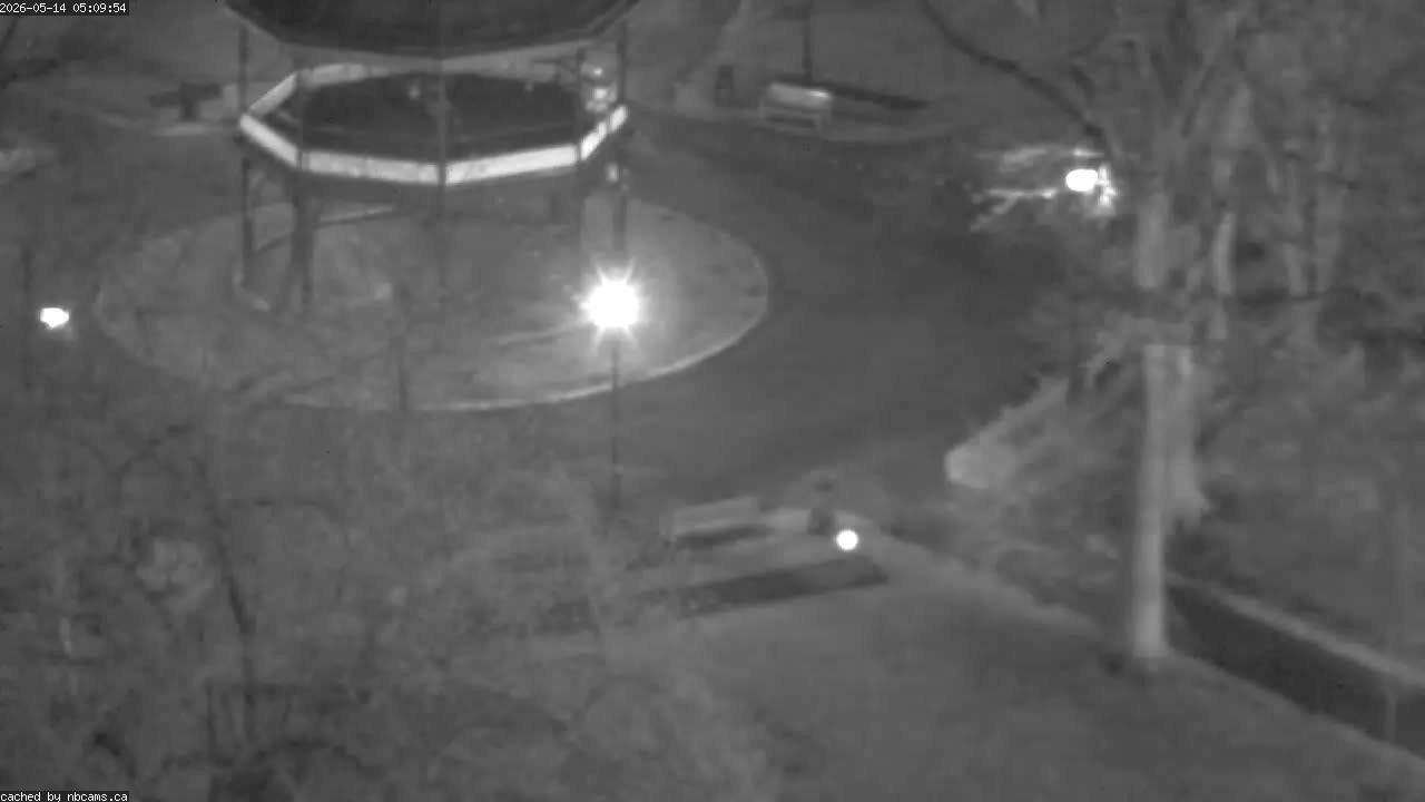Web Cam image of Saint John (King's Square)