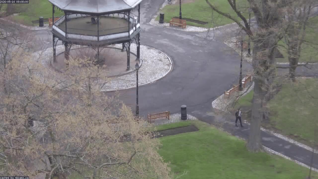 Web Cam image of Saint John (King's Square)