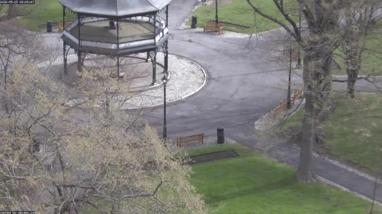 Web Cam image of Saint John (King's Square)