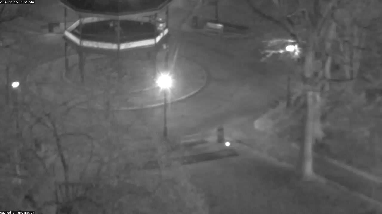 Web Cam image of Saint John (King's Square)