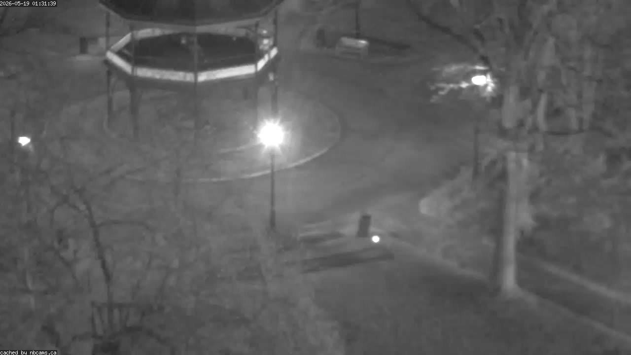 Web Cam image of Saint John (King's Square)