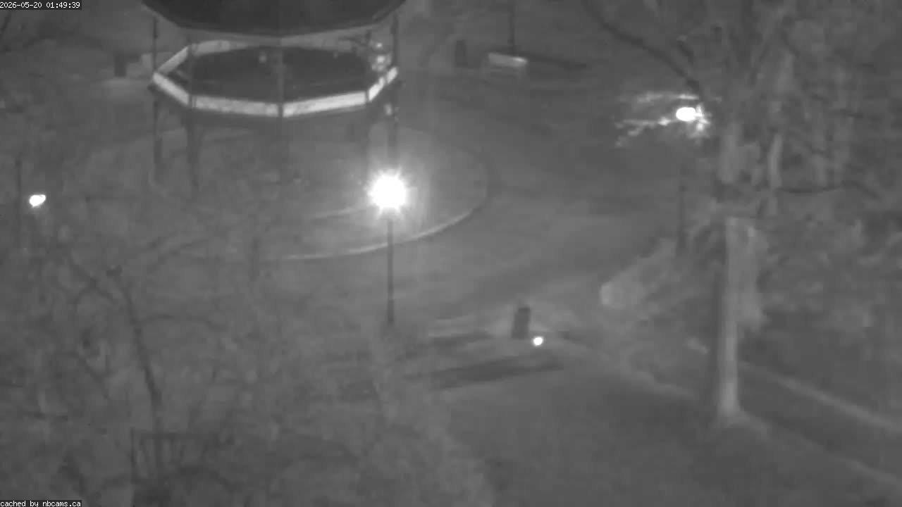 Web Cam image of Saint John (King's Square)