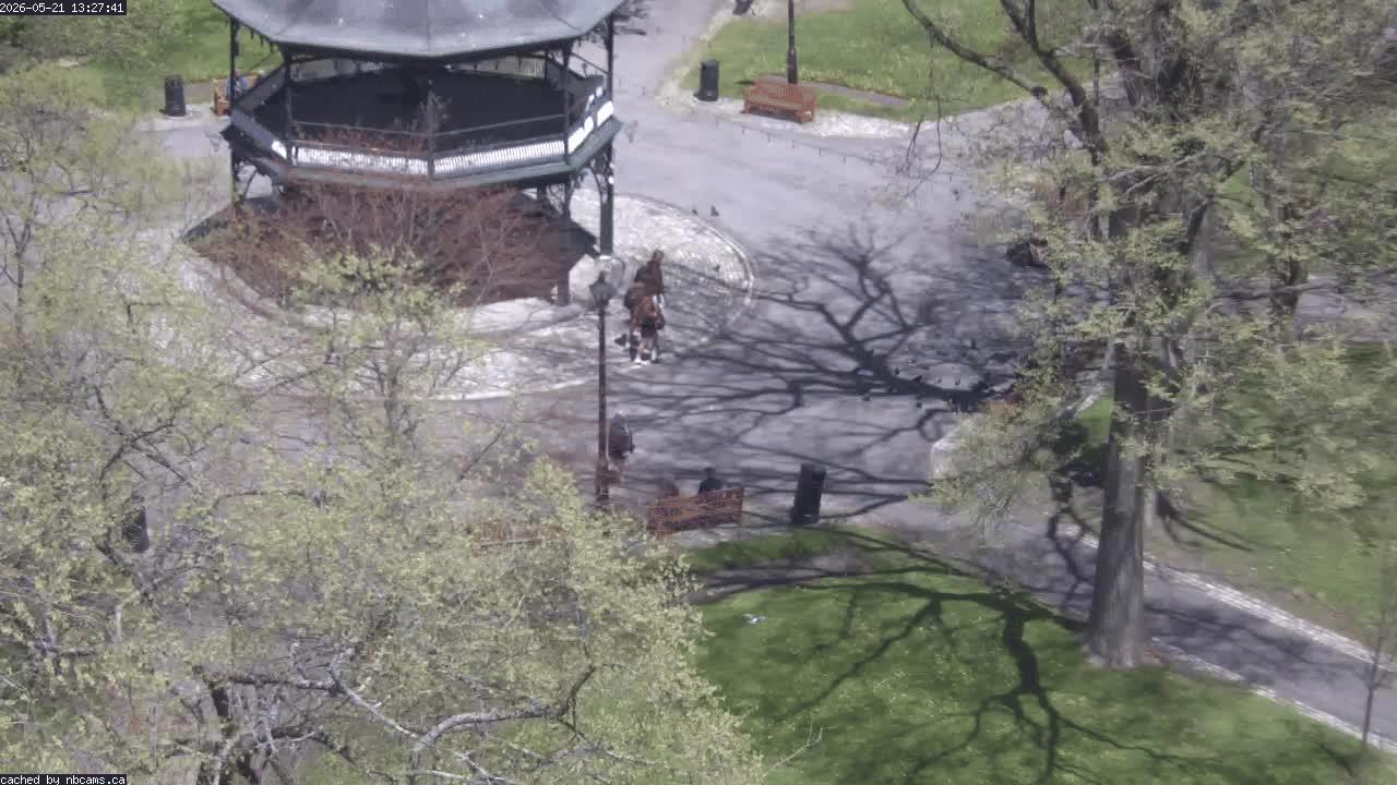 Web Cam image of Saint John (King's Square)