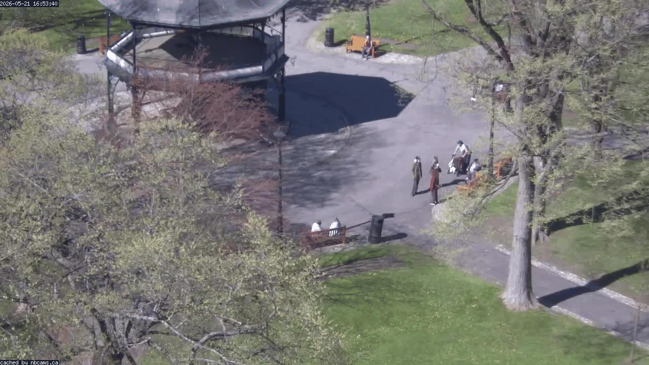 Web Cam image of Saint John (King's Square)