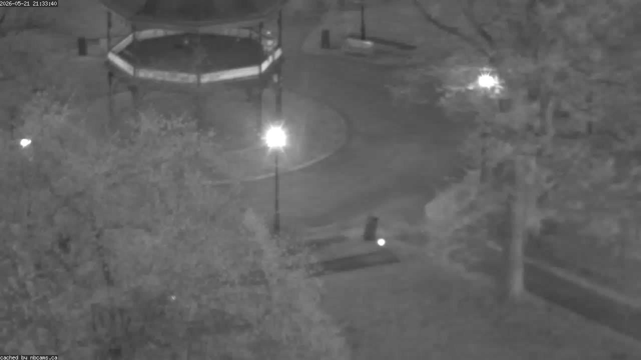Web Cam image of Saint John (King's Square)