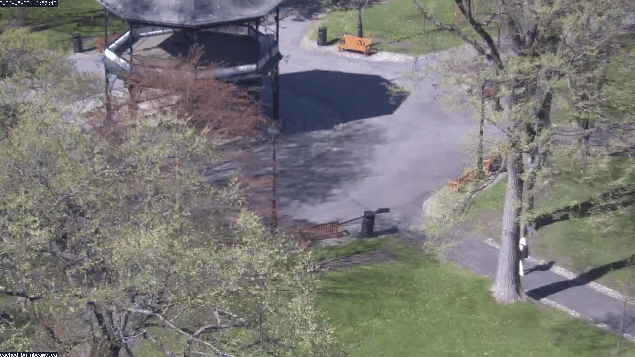 Web Cam image of Saint John (King's Square)