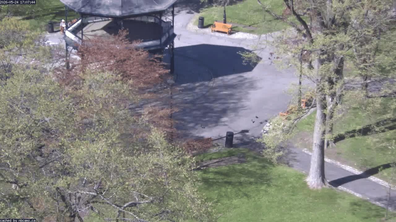 Web Cam image of Saint John (King's Square)